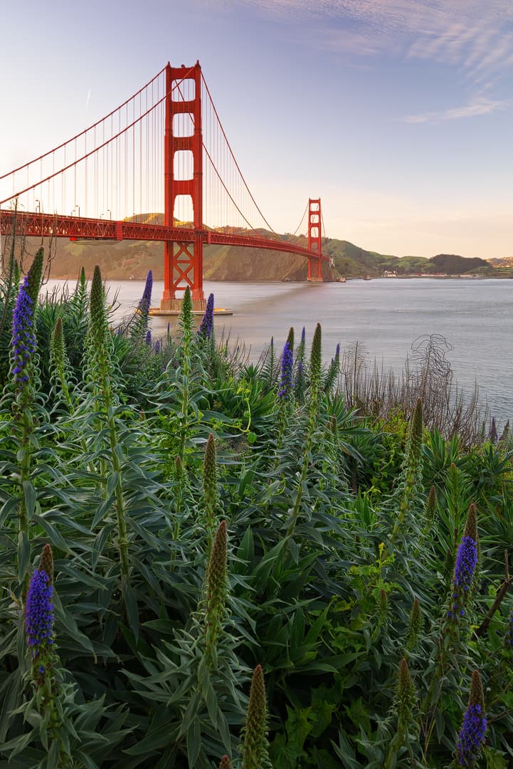 San Francisco